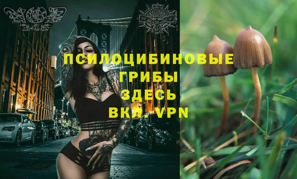 стафф Богданович