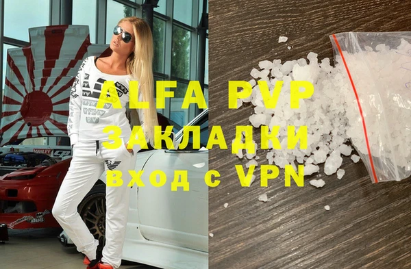 стафф Богданович