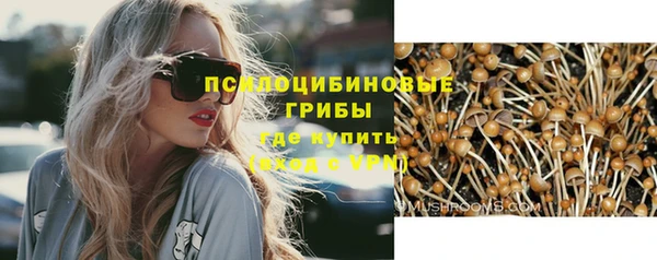 стафф Богданович