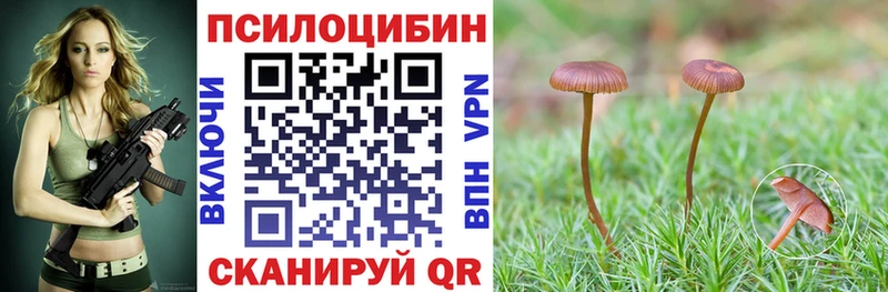 МЕГА зеркало  Невель  Псилоцибиновые грибы Cubensis 